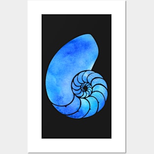 Blue Nautilus Posters and Art